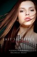 Baixar Academia de Vampiros: Ultimo Sacrificio Vol.6 (Richelle Mead)